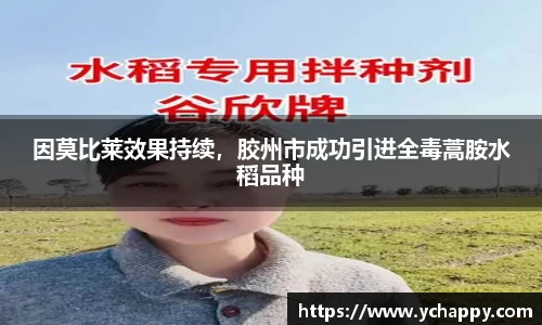 因莫比莱效果持续，胶州市成功引进全毒蒿胺水稻品种