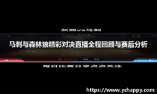 马刺与森林狼精彩对决直播全程回顾与赛后分析