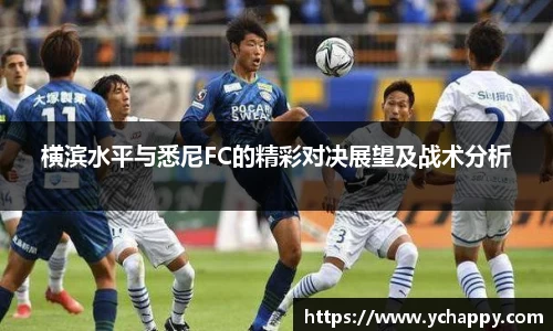 威廉希尔williamhill中文