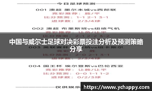 中国与威尔士足球对决彩票投注分析及预测策略分享