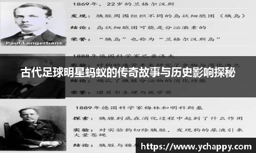 古代足球明星蚂蚁的传奇故事与历史影响探秘